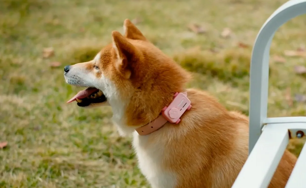 smartphone para mascotas