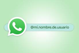 WhatsApp chat sin número con nombres de usuario