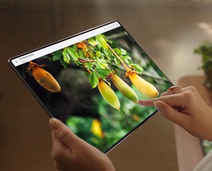 Despiece de la arquitectura interna de la tablet HUAWEI MatePad Pro Max.