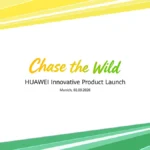 Chase the wild