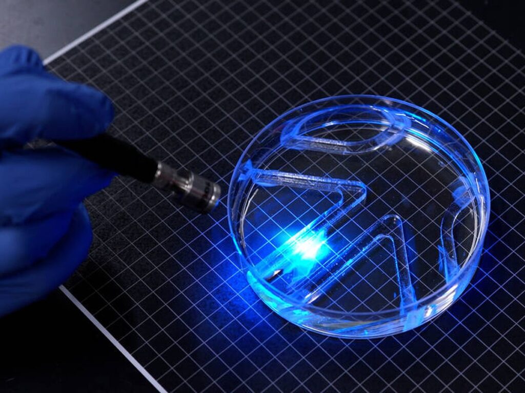 Robot biohíbrido navegando laberinto acuático